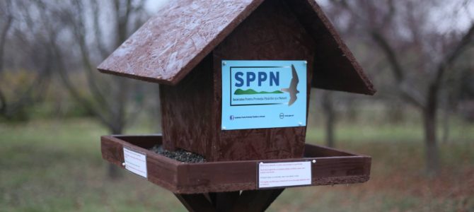 Iarna vine cu premii de la Societatea Pentru Protecția Păsărilor și a Naturii!