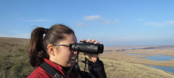 Cum alegem binoclul potrivit pentru birdwatching?